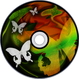 http://zenius-i-vanisher.com/forums/DDRX/PNG_0793.png