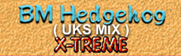 B.M. Hedgehog Sims