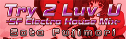 Try 2 Luv. U -SF Electro House Mix-