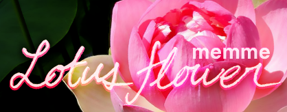 http://zenius-i-vanisher.com/simfiles/Z-I-v%20Summer%20Contest%202015/%5BMother%20Nature%5D%20-%20Lotus%20flower/%5BMother%20Nature%5D%20-%20Lotus%20flower.png