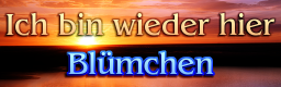 http://zenius-i-vanisher.com/simfiles/ZIv's%20Summer%20Contest%202010/Non-English%20-%20Ich%20bin%20wieder%20hier/Non-English%20-%20Ich%20bin%20wieder%20hier.png?t=1281022269