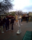 Bugs cameo @ Six Flags Arlington TX