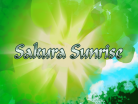 Sakura Sunrise