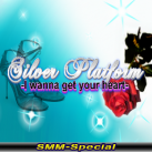 Silver Platform -I Wanna get your Heart- (SMM-Special)