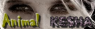 Animal (Custom Banner)