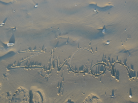 ZIvCon name on the sand