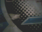 The hole in the only dance mat i've got