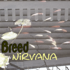 Breed - CD Cover