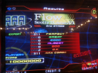 Single Expert Flow