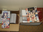 A-Kon 22 Loot 2: pr0n