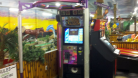 Jambo Park Para Para