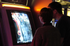 Players playing Ikaruga