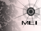 MEI (english).png