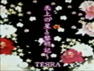 TENJOU NO HOSHI ~REIMEIKI~-bg.png