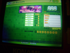 maniacstepperaaapinkrosesd.JPG