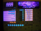 Sakura CSP.jpg