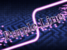 Purple Line.png