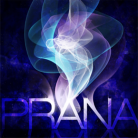 PRANA-jacket (Retina)