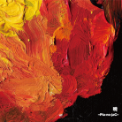 Paradiso-jacket (Retina)