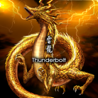 Thunderbolt-jacket (Retina)