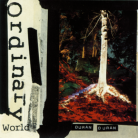 Ordinary World-jacket (Retina)