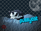 Faster Kill Pussycat