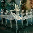 Swan Lake-jacket (Retina)