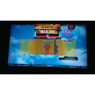 MAX 300 Pass