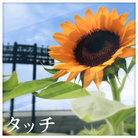 Touch-jacket (Retina)