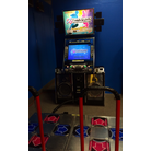 DDR 2013