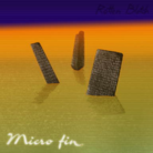 Micro fin