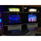 Street Fighter 3 and Marvel vs Capcom 2