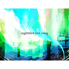 nightbird lost wing-bg.png