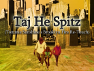 Taj He Spitz (Tommie Sunshine's Brooklyn Fire Re-Touch)