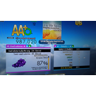 Taj He Spitz tommie sunshine doubles.jpg