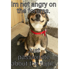 I'm not Angry