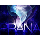PRANA