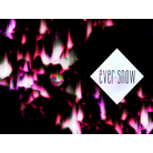 ever snow