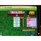 max300.jpg