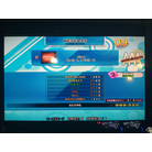 FLOW EXP AAA 45P.jpg