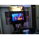 The House of The Dead 4 @ NVGM
