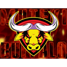 MUTEKI BUFFALO-bg.png