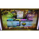 ようこそジャパリパークへ CSP 9p DDR A20 PLUS AC