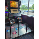 DDR X
