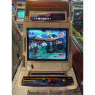 The King of Fighters '98: The Slugfest