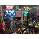 PIU LX
