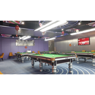 No.9 Animation City - Billiards Room