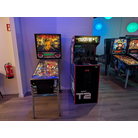 Terminator pinball and cab