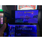 SEGA Rally 2 at GiGO Akihabara Building 3