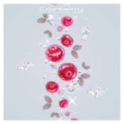 Cranberry